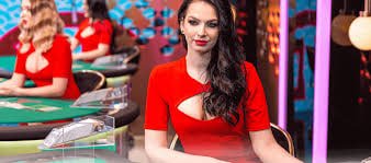 bpexch lie Live Casino